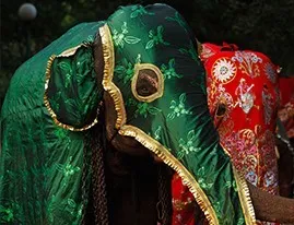 Web_SirLanka_Galerries3