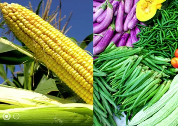 Screen Shot 2016-03-17 at 3.25.39 PM