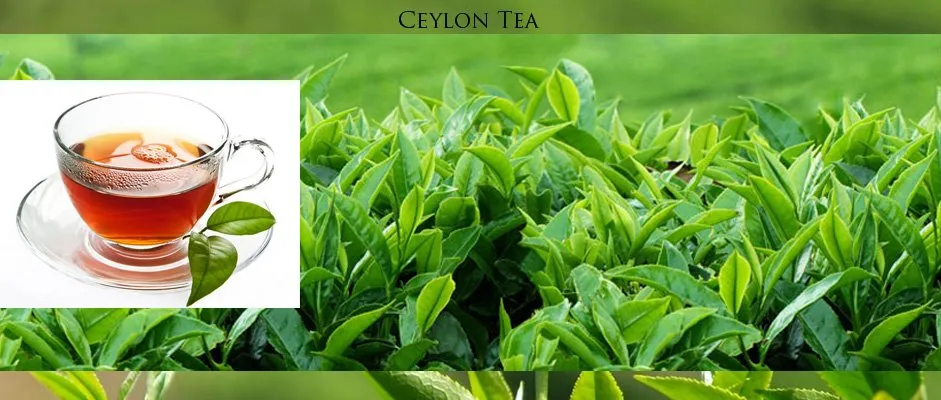CeylonTea