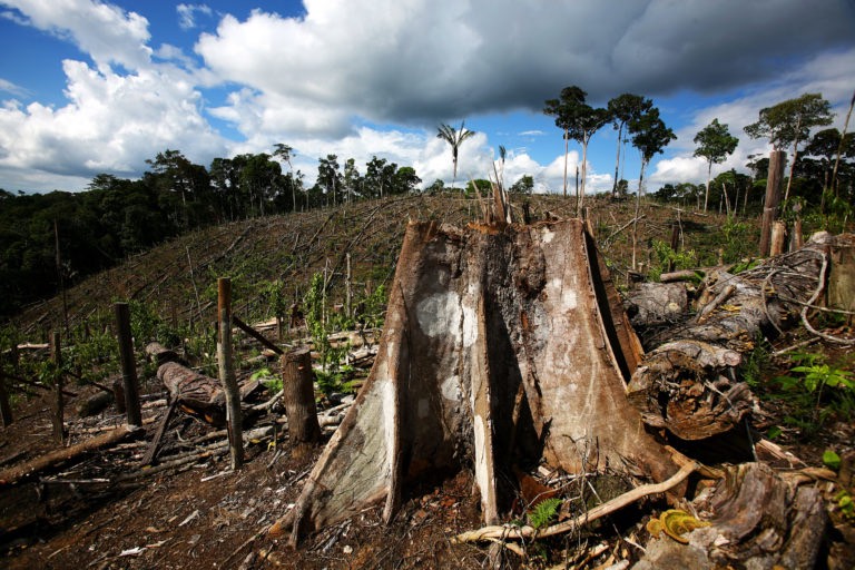 deforestation-and-illegal-construction-a-threat-to-sri-lanka-s-natural