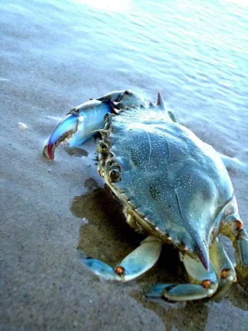 f508a13b70d952d65ca342ef11be9a6d