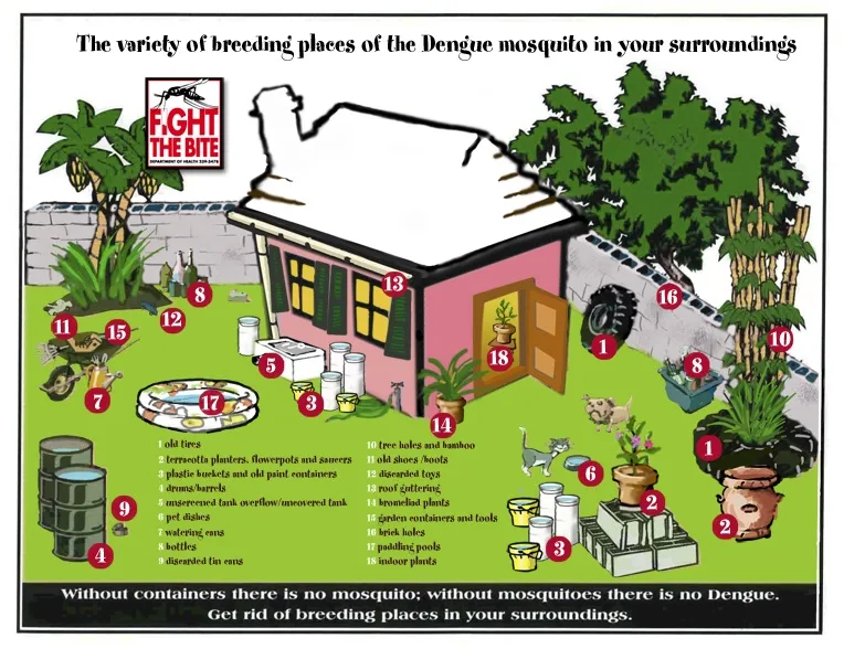 breeding_places_for_mosquitoes