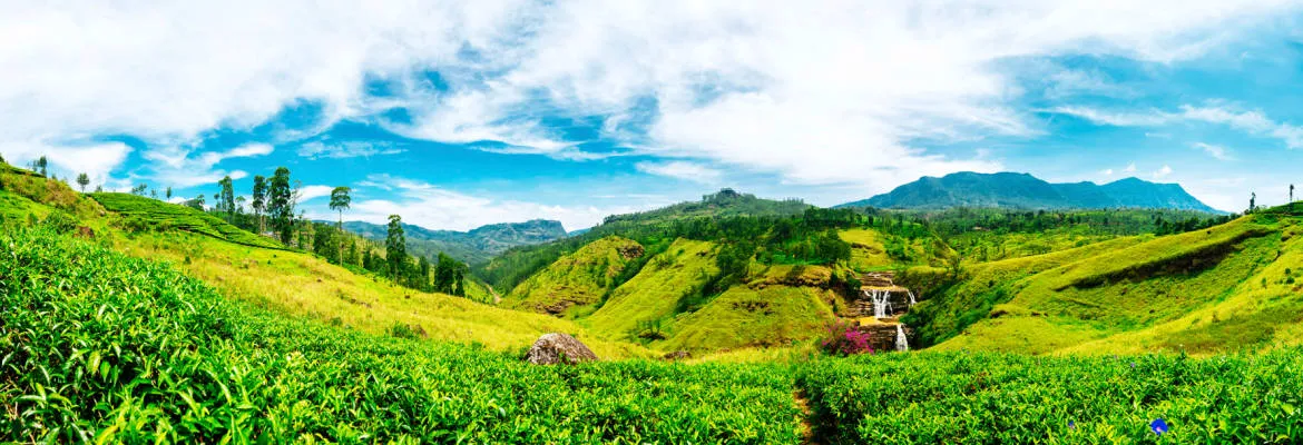 sri-lanka-39676239-1483438023-WideInspirationalPhoto1170