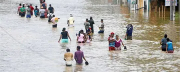 image_1495790330-1690a7ab82