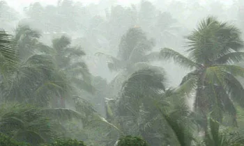 image_1505318053-578b68d4db