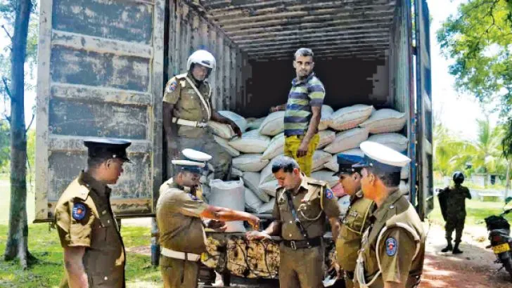 z_p08-Oyster-shell-tr