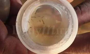 image_1507214575-f33a7ed85c