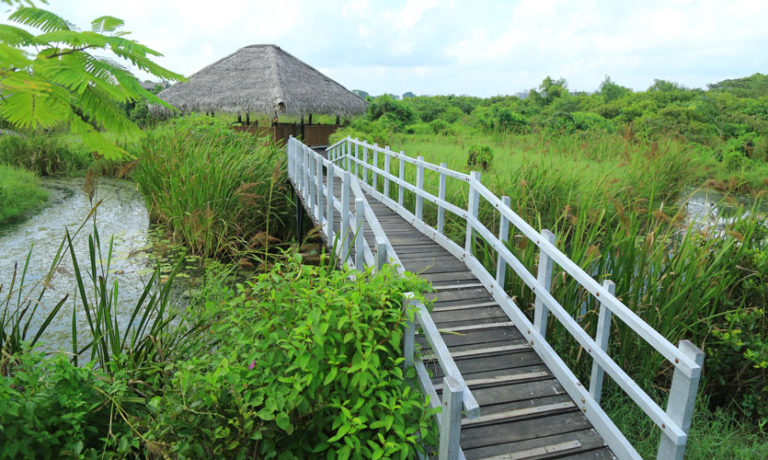 ‘Diyasaru’ Wetland Park | Sri Lanka Foundation