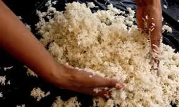 image_1512478992-0766901e98