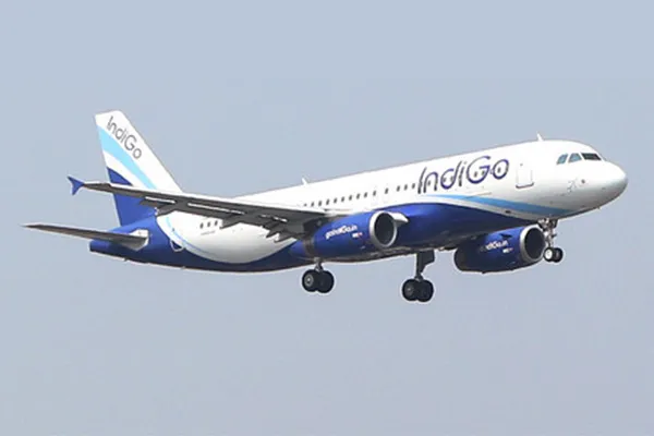 indigo06