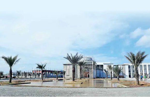 image_1516215498-6a8a6285b6