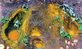 image_1516592796-4db6fe3607