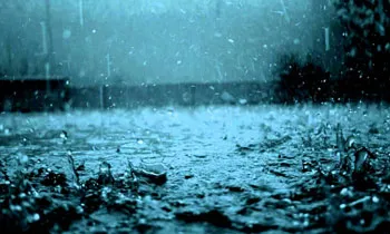 image_1519864337-e69195ad29