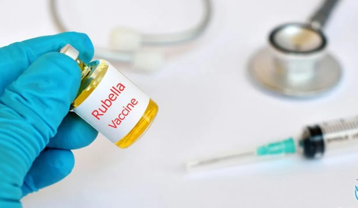 a0d8e9b087ada5f09565443d94f0902f_XL