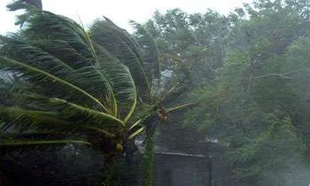 image_1538990661-bfc1175f9f