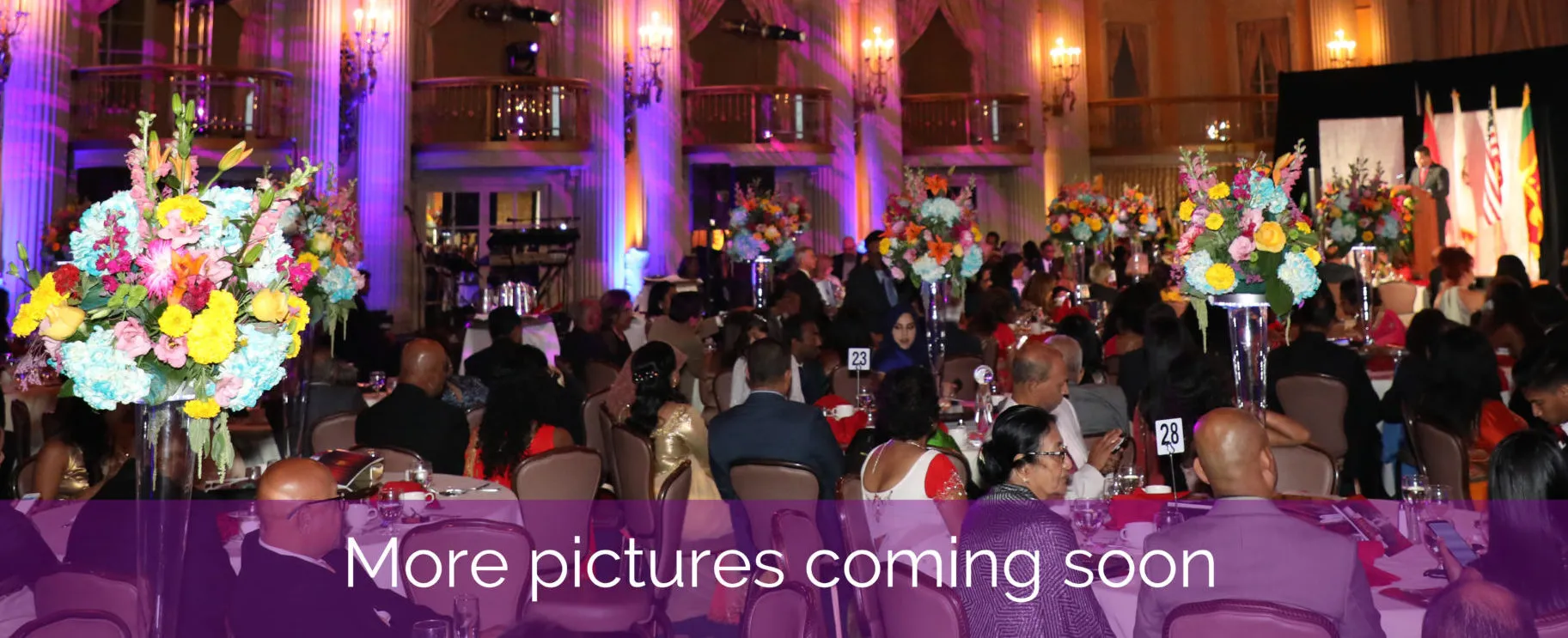 501A2577-squashed-1-1832×1221