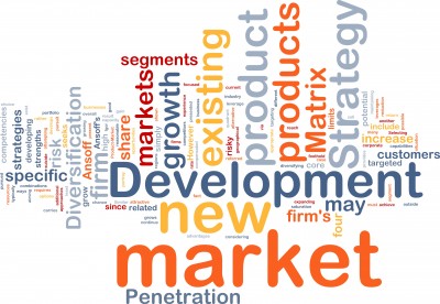 new-market-development-word-cloud