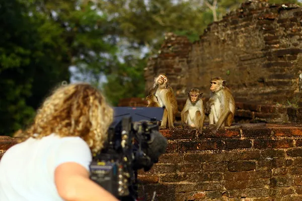 easid-325842-media-id-17978