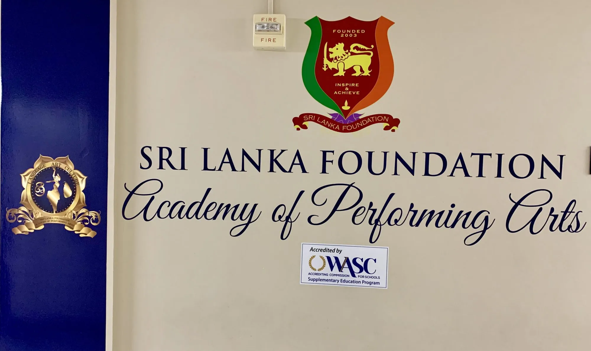 APA LOGO