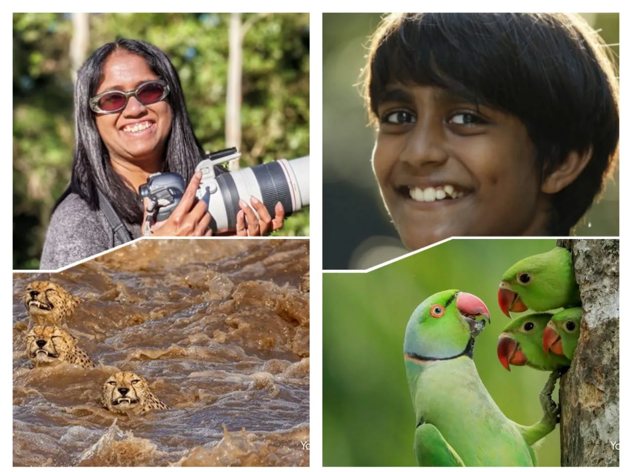 BBC Wildlife Photographer