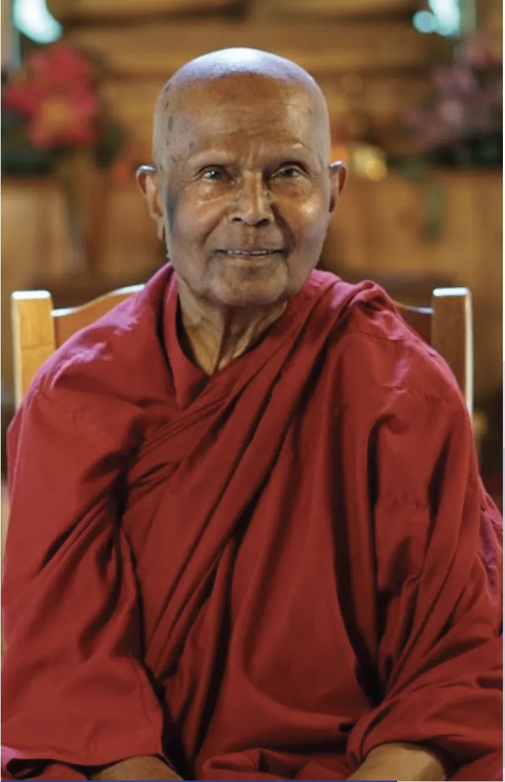 Venerable Henepola Gunaratana, Ph.D.